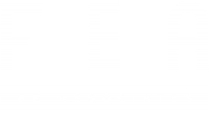 FE Associates white logo